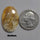 Agate|Plume Agate