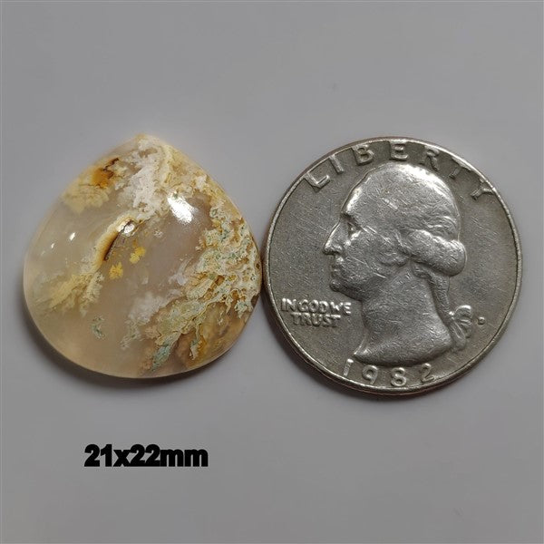 Agate|Plume Agate