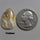 Agate|Plume Agate