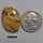 Picture Jasper
