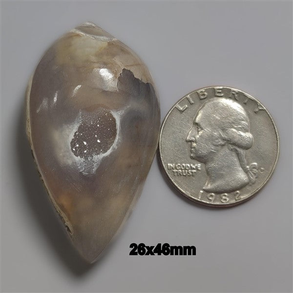 Shell
