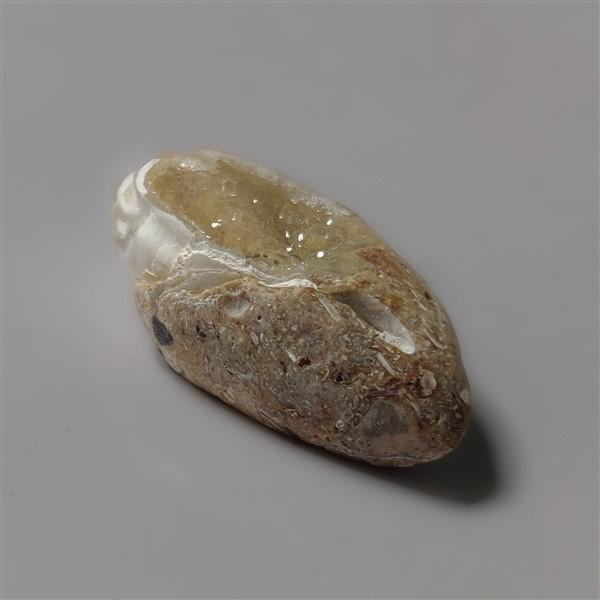 Shell