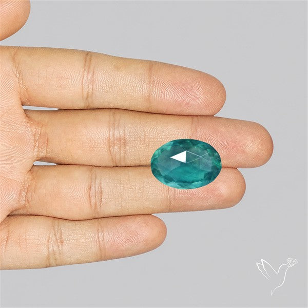 Rose Faceted Belgian Teal Fluorite Rose Cut Top