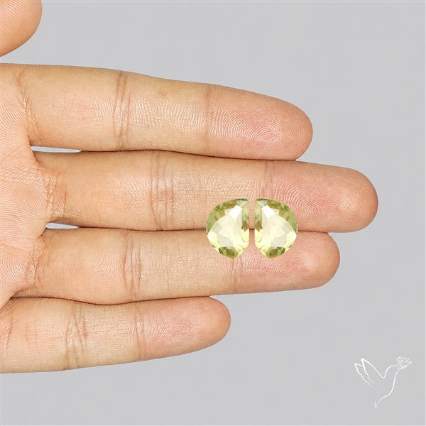 Faceted Green Gold Lemon Quartz Pair
