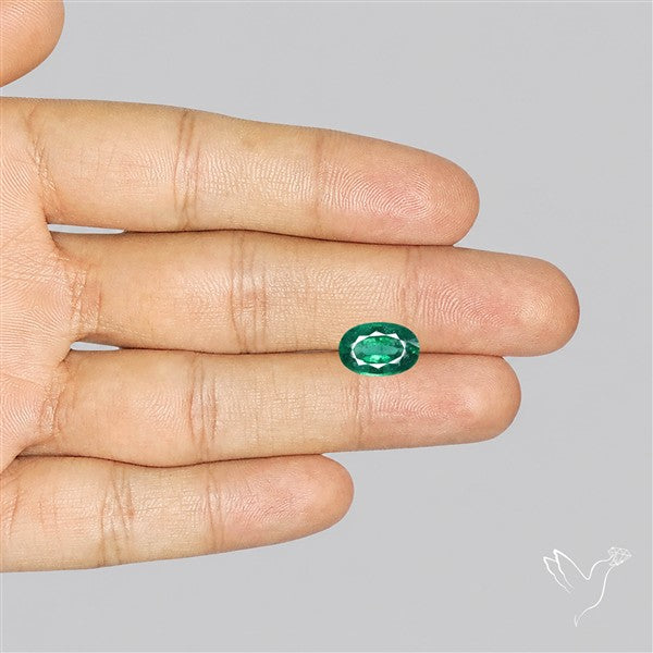 Fine Green Kyanite Rare Natural Green