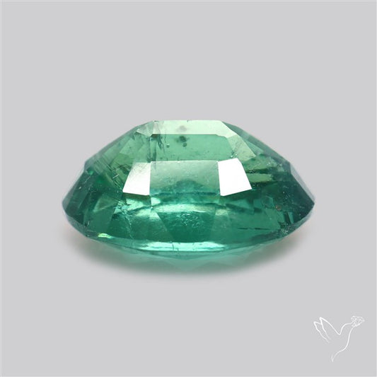 Fine Green Kyanite Rare Natural Green