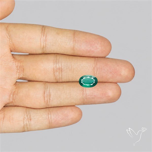 Fine Green Kyanite Rare Natural Green