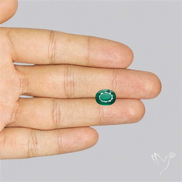Fine Green Kyanite Rare Natural Green