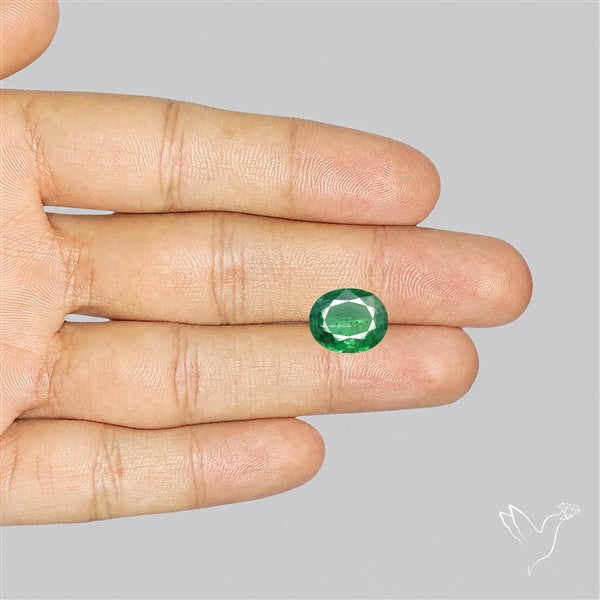 Fine Green Kyanite Rare Natural Green