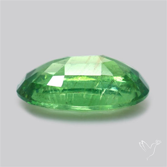 Fine Green Kyanite Rare Natural Green