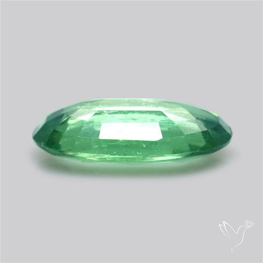 Fine Green Kyanite Rare Natural Green