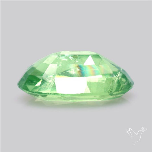Fine Green Kyanite Rare Natural Green