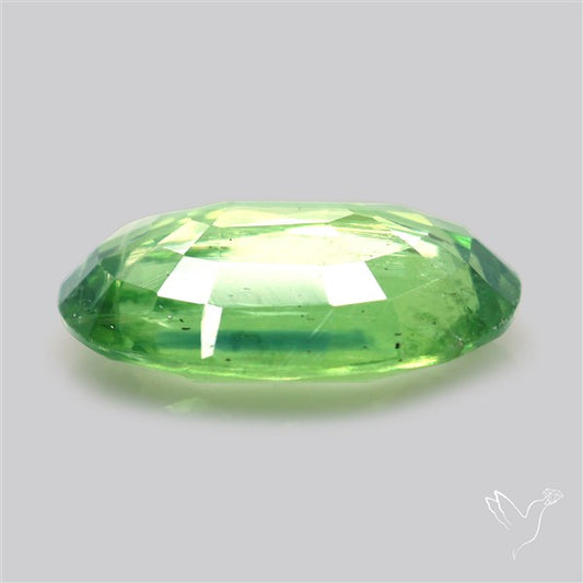 Fine Green Kyanite Rare Natural Green