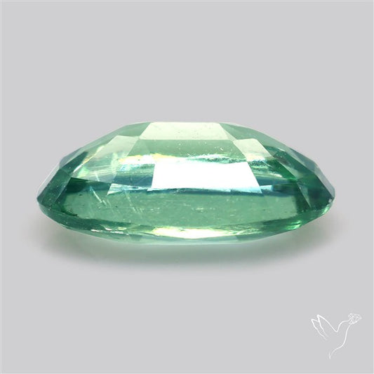 Fine Green Kyanite Rare Natural Green