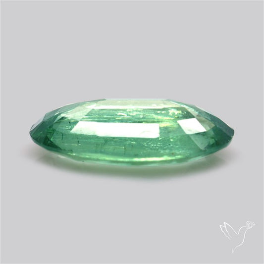 Fine Green Kyanite Rare Natural Green