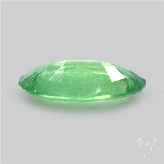 Fine Green Kyanite Rare Natural Green