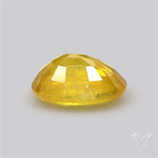 Faceted Yellow Sapphire