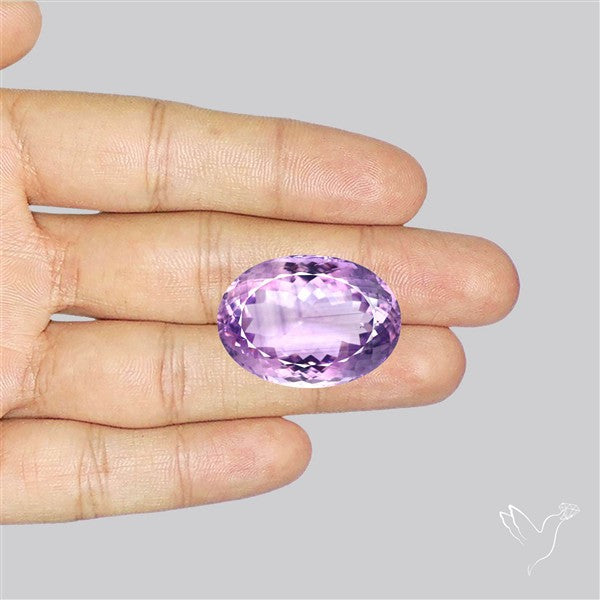 Brazilian Amethyst Clear Large Faceted Fine Gemstone