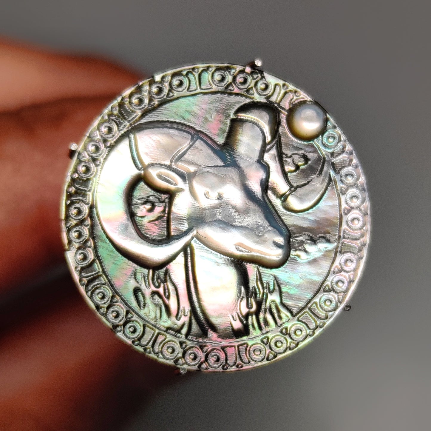 Zodiac Carving in Tahitian Rainbow Mother Of Pearls