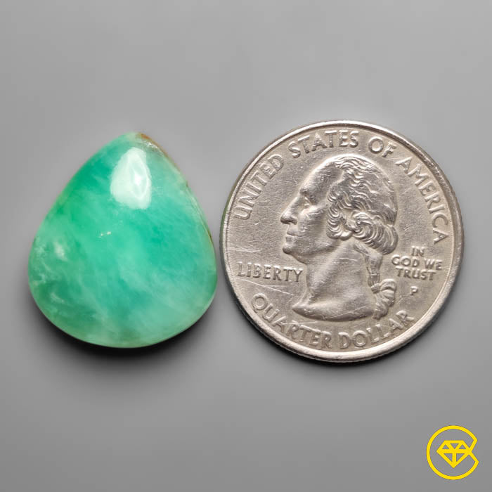 Gemmy Chrysoprase Cabochon
