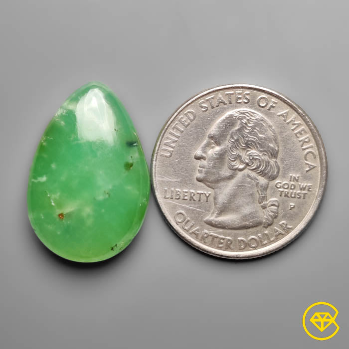 Gemmy Chrysoprase Cabochon