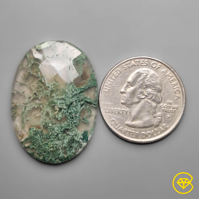 Checkerboard Cut Horse Canyon Moss Agate