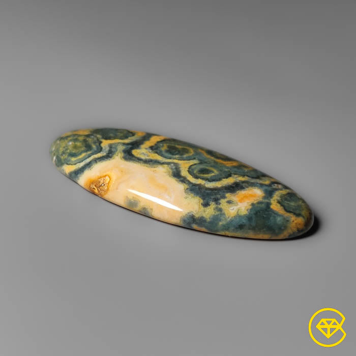 Orbicular Ocean Jasper Cabochon