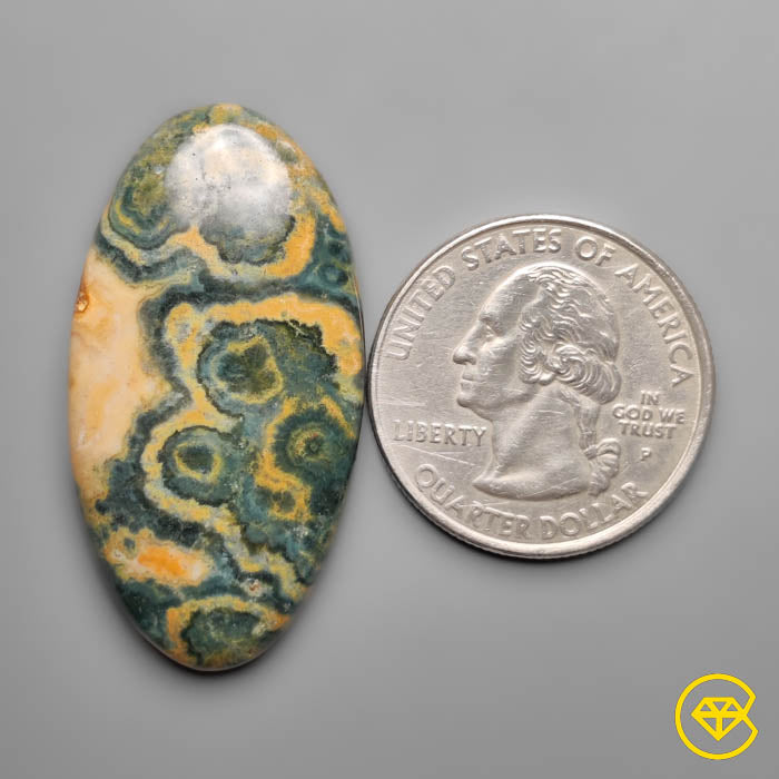 Orbicular Ocean Jasper Cabochon