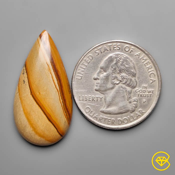 Owyhee Wild Horse Picture Jasper Cabochon