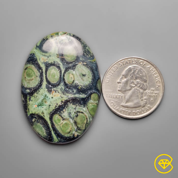 Galaxy Kambaba Jasper Cabochon