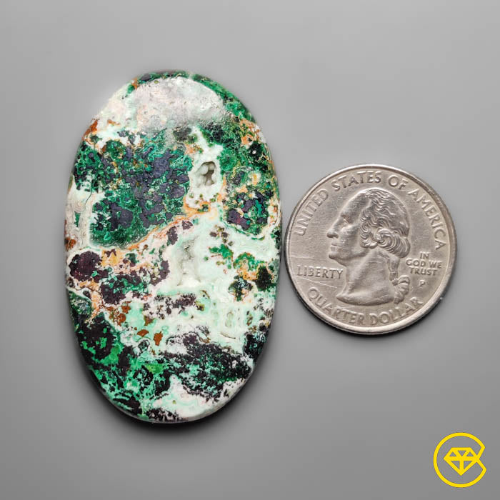 Parrot Wing Chrysocolla Cabochon