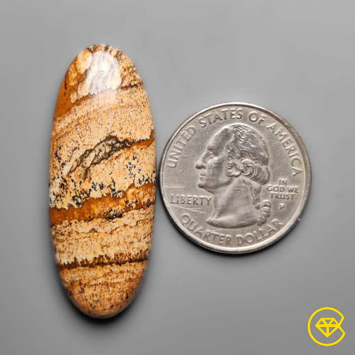 Deschutes Picture Jasper