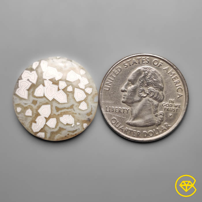 Laguna Lace Agate