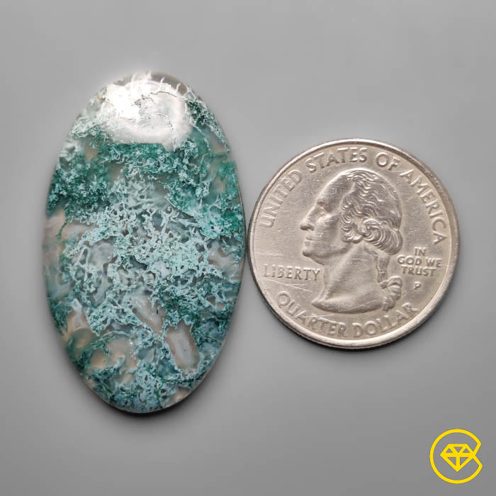 Horse Canyon Moss Agate Cabochon