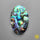 Abalone Shell