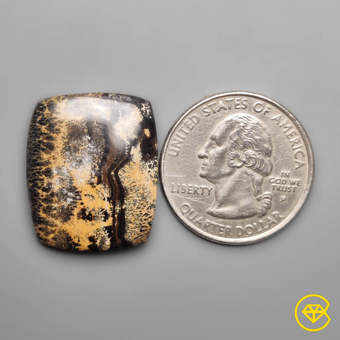 Sagebrush Jasper