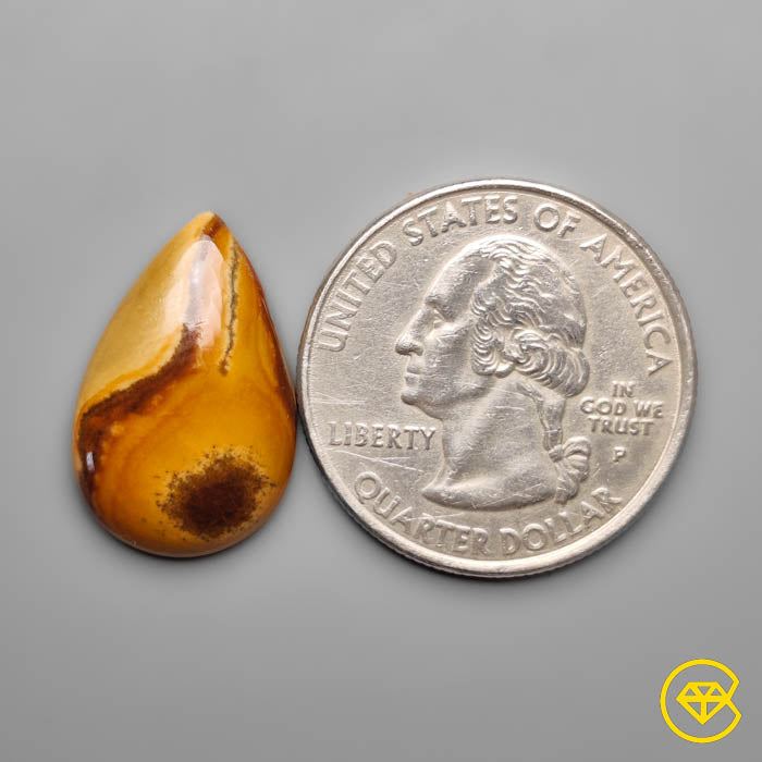 Owyhee Wild Horse Picture Jasper