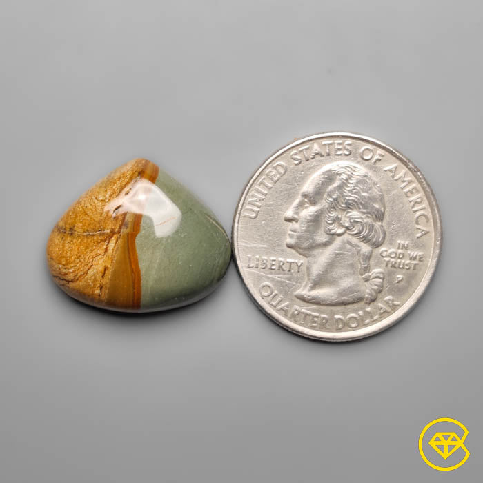 Owyhee Wild Horse Picture Jasper