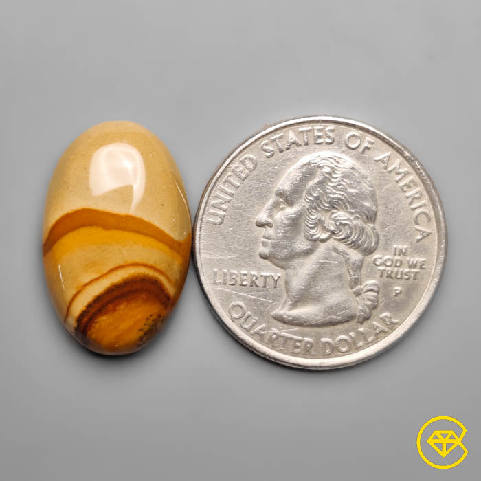 Owyhee Wild Horse Picture Jasper