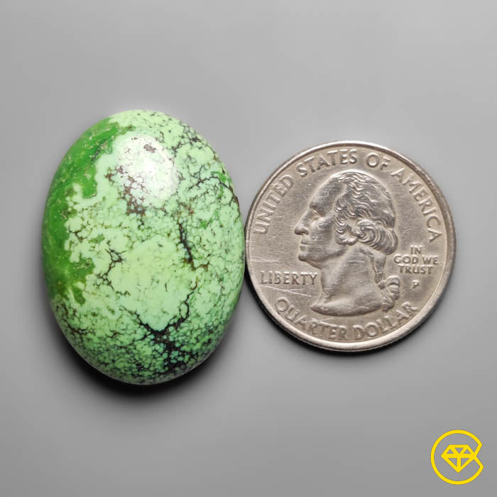 Rare Green Hubei Turquoise Cabochon