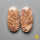 Fossil Coral
