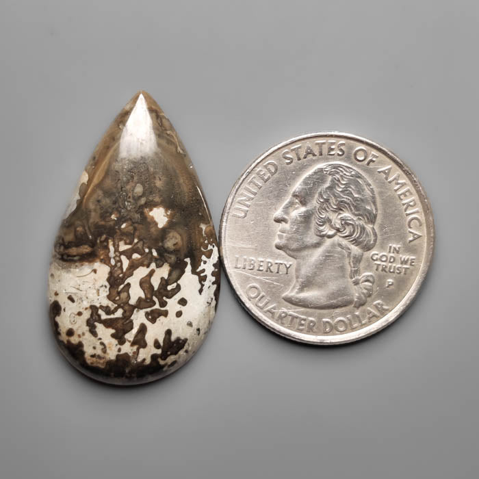 Volcanic Cotham Marble Cabochon