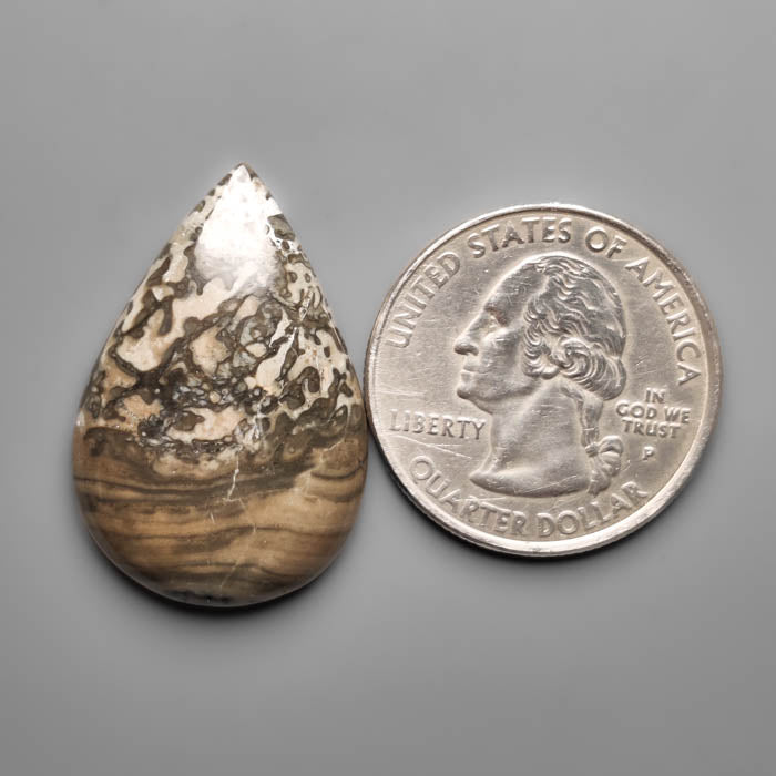 Volcanic Cotham Marble Cabochon