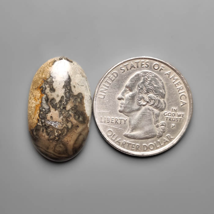 Volcanic Cotham Marble Cabochon