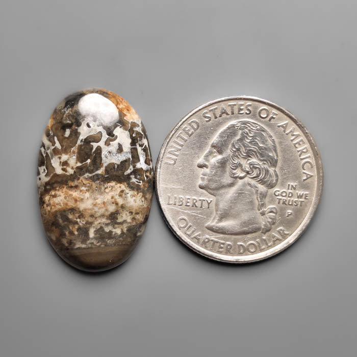 Volcanic Cotham Marble Cabochon