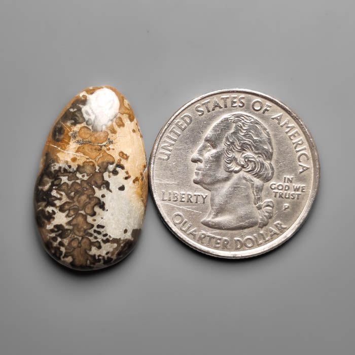 Volcanic Cotham Marble Cabochon