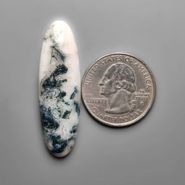 Tree Agate Cabochon