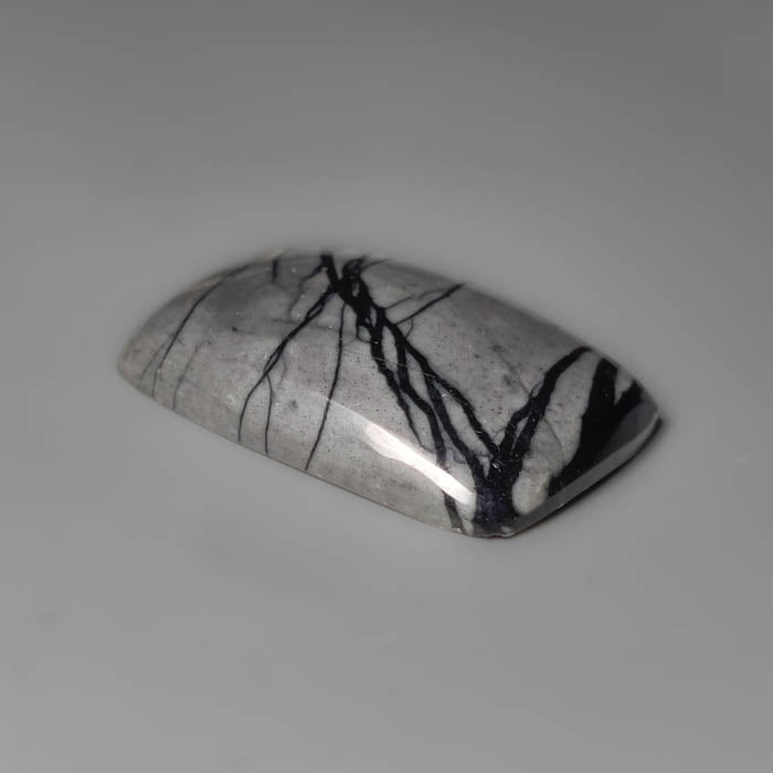 Picasso Jasper Cabochon