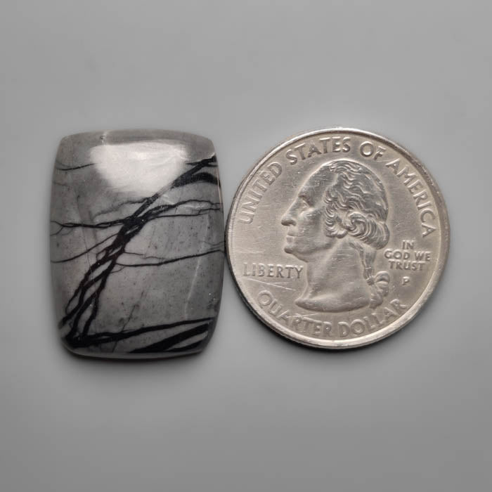 Picasso Jasper Cabochon