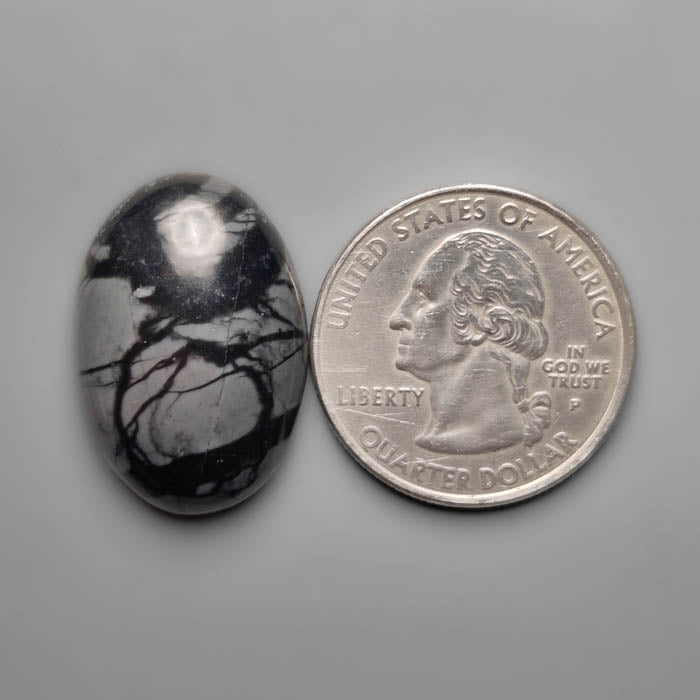 Picasso Jasper Cabochon